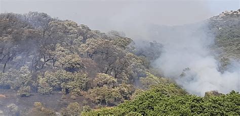 Sardegna Il Bollettino Della Protezione Civile Sul Rischio Incendi