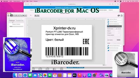 iBarcoder создание этикетки на Mac OS Установка драйвера Pantum PT