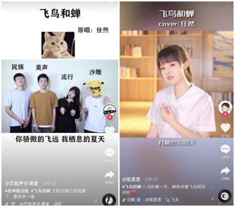 “抖音看见音乐计划”流行榜榜首《飞鸟和蝉》获13亿次播放，走红全网新浪vr手机新浪网