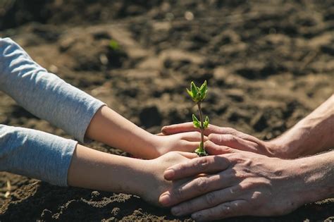 Premium Photo Close Up Of Woman Hand Holding Plant