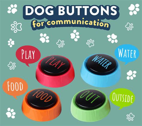 Dog Buttons For Communication | Home