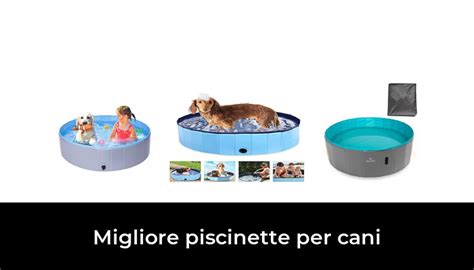 Migliore Piscinette Per Cani Nel Secondo Gli Esperti