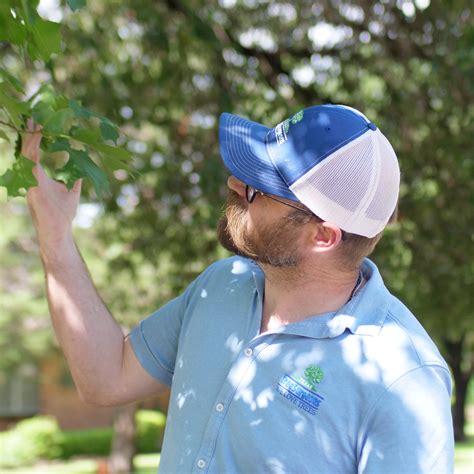 texas tree surgeons 1
