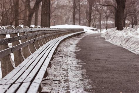 Snowy Central Park. ♥