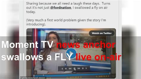 Moment Tv News Anchor Swallows A Fly Live On Air Youtube