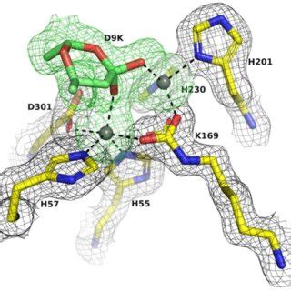 Electron Density Omit Maps Of The Active Site Region Of The A