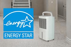 Energy Star Dehumidifiers | Top Picks | Sylvane