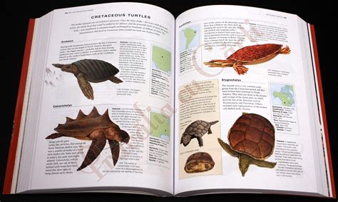 The Complete Illustrated Encyclopedia Of DINOSAURS Prehistoric Creatures