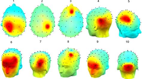 Scalp Maps Of 10 Common Independent Components With Increasing Wm Load