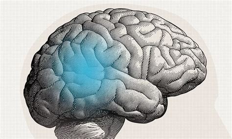 Tres Consejos Para Mantener Tu Cerebro Sano Centro Auditivo Del Uruguay