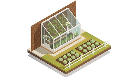 Attached Greenhouse: What You Need to Know - GreenCitizen