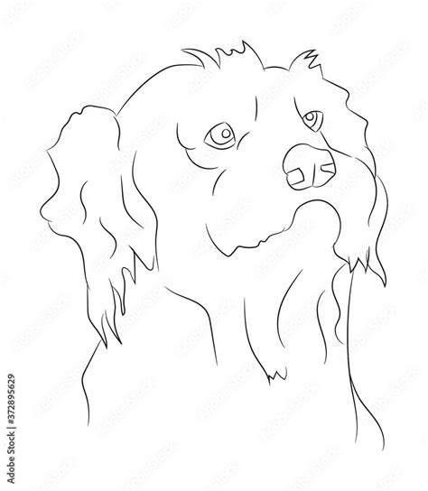 dog portrait vector illustration, line drawing, vector Stock Vector ...