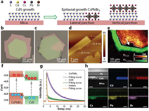 Synthesis And Characterization Of The 2d Cspbbr3cds Heterostructure