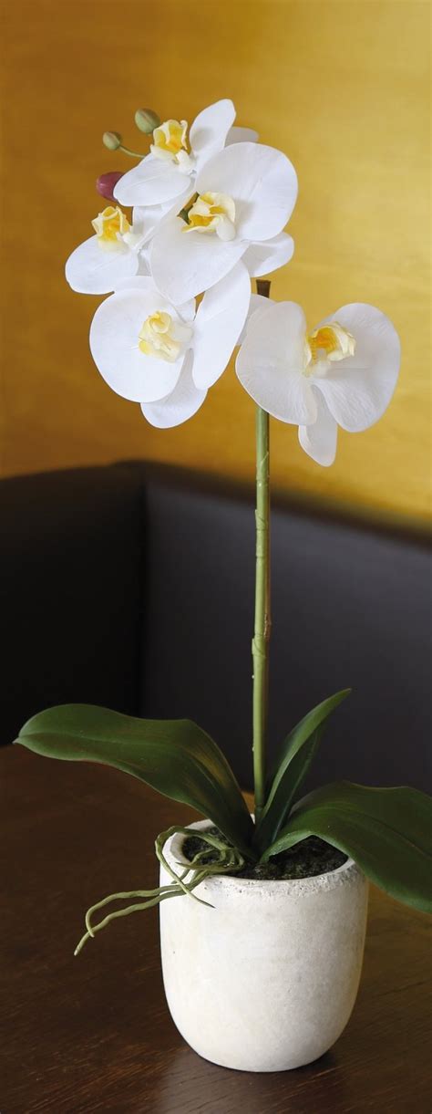 Künstliche Orchidee Phalaenopsis getopft 50 cm Real Touch Soft