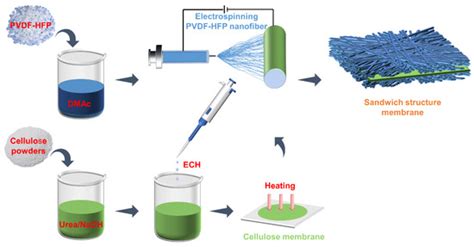 Molecules Free Full Text Electrospun Sandwich Like Structure Of