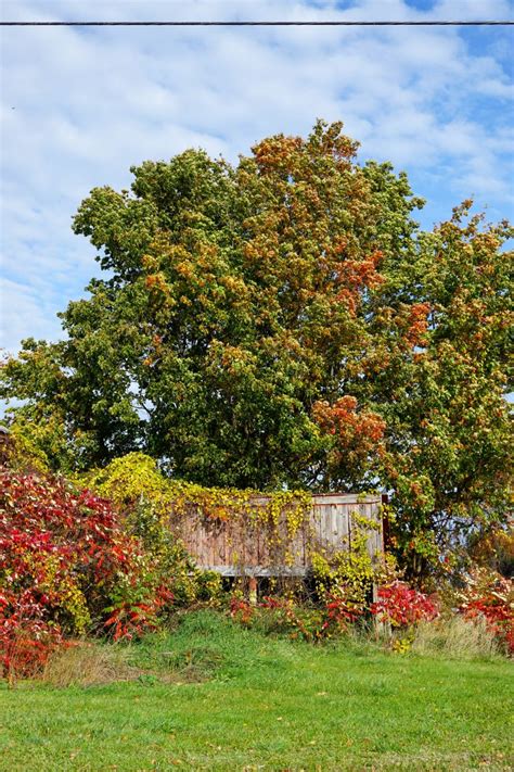 Traverse City Fall Colors: The Most Beautiful Drive through Northern ...