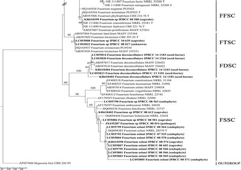 Figure From Molecular Phylogenetic Analysis Of Indonesian Fusarium