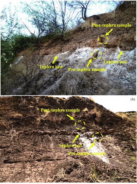 Field Photographs Showing Light Fray Thin Massive Unconsolidated