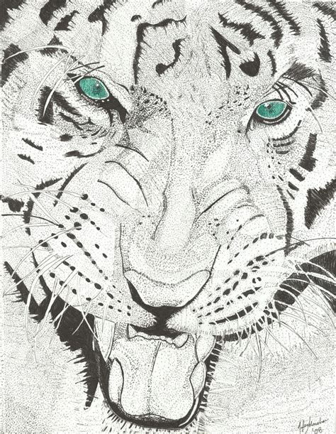 Tiger Pen And Ink By Manahan25 On Deviantart