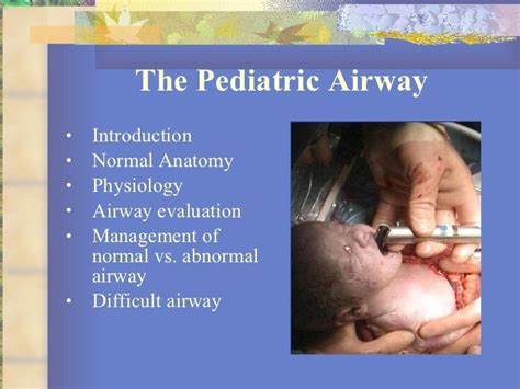 18 Basics Of Pediatric Airway Anatomy Physiology And Management