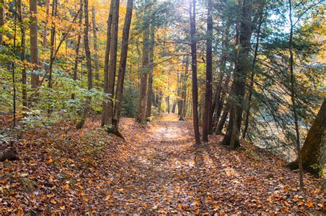 Chris Zimmer: Autumn Color at Mohican State Park