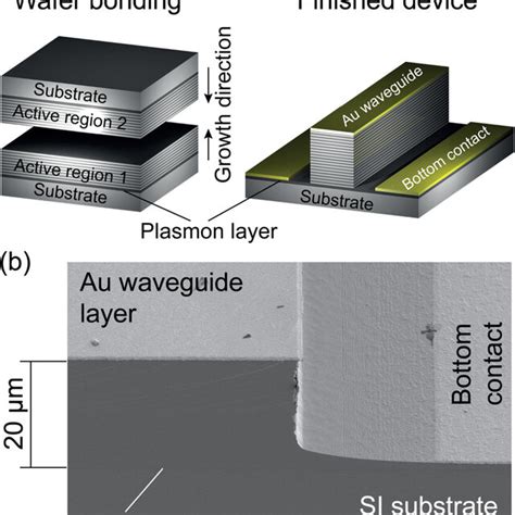 A Schematic Of The Device Fabrication The Left Picture Illustrates