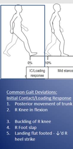 Common Gait Deviations Caused By And Treatment Needed Flashcards