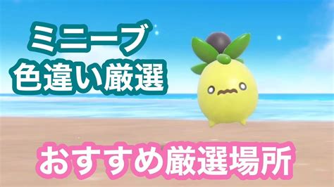 【超簡単】誰でも簡単にミニーブを大量発生なしで色違い厳選する方法【ポケモンsv】 Youtube