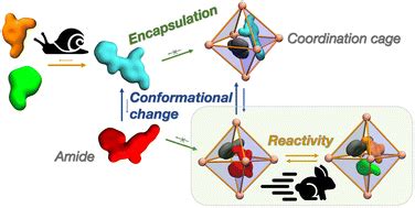 Reconstructing Reactivity In Dynamic Hostguest Systems At Atomistic