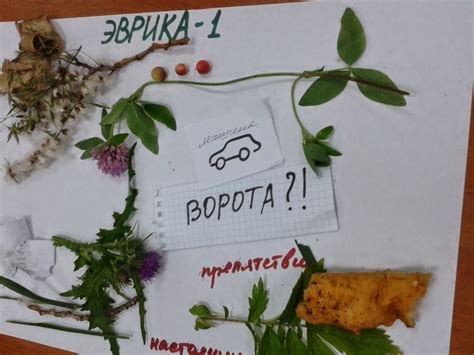 НАУКОГРАД: ФИЗИКА ....: Эврика 1