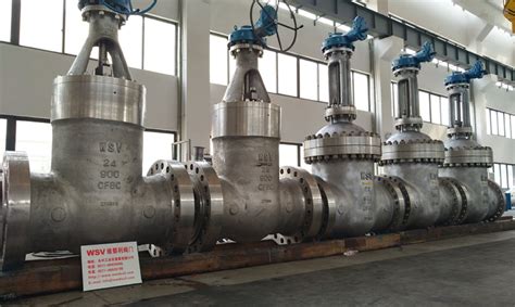 Stainless Steel Gate Valves Manufacturer Company Wsv Valve