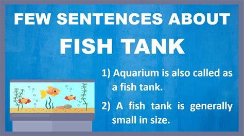 Few Sentences About Fish Tank In English 10 Lines On Fish Tank