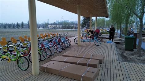 Fun Family Touring - 4 Person Surrey Bike by LY Bicycles