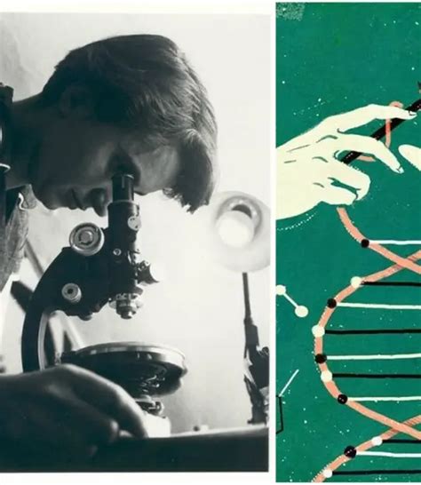 Rosalind Franklin La Mujer Por La Que Conoces El Adn Actitudfem