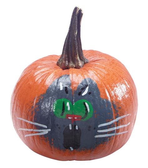 Painted Pumpkin with Cat Face on White Background - Prepared Food ...