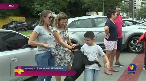 Encontro PET Tutor do Cão Chapecó Celebra Dois Anos e Contribui para a