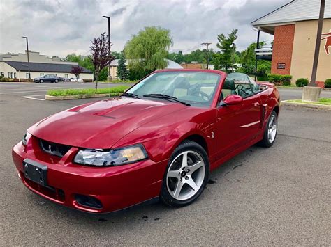 2003 Ford Mustang SVT Cobra For Sale ClassicCars CC 1237254