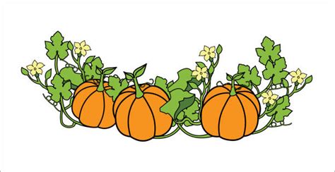 Pumpkin Patch Illustrations Royalty Free Vector Graphics And Clip Art