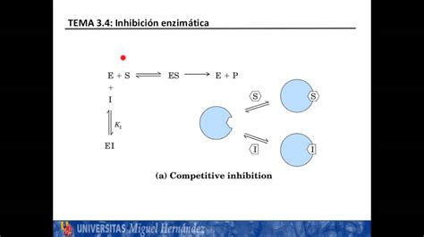 Lec3 4 1 Inhibición enzimatica umh1025 2015 16 YouTube