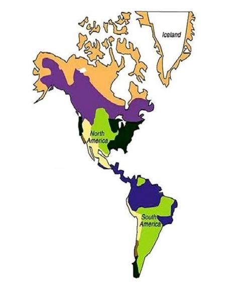 Aparador Esquivo Redondear A La Baja Regiones Naturales Del Mundo Mapa