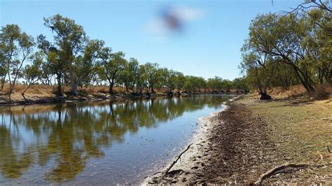 Camooweal Caves, Queensland - wild and free