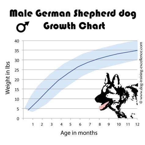 german shepherd food chart - Mollie Carl