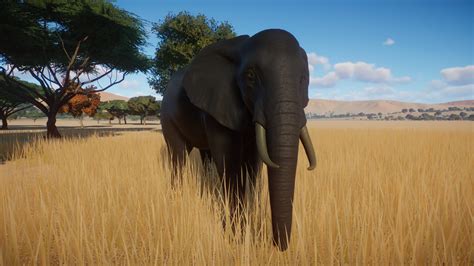 African Elephant Remodel and Retexture at Planet Zoo Nexus - Mods and ...