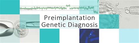 About Preimplantation Genetic Diagnosis Oak Clinic Inc Osaka Tokyo