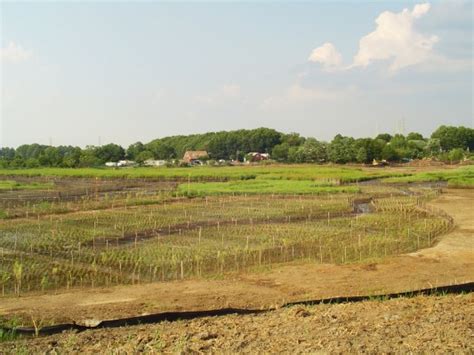 Woodbridge Salt Marsh Restoration | SumCo - Specialized Civil and Ecological Construction