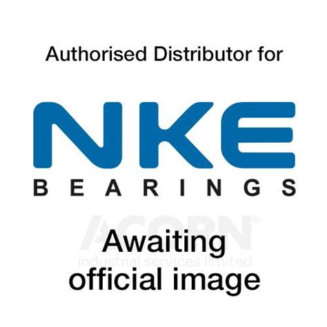 NKE NJ421 M Bearing Cylindrical Roller Bearing Fixed Outer Ring