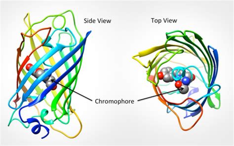 PDB-101: Learn: Paper Models