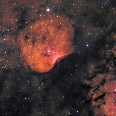 sh       focal world