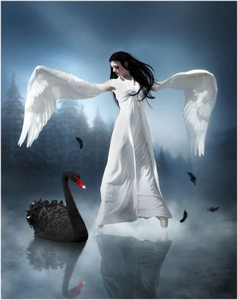 Black swan by streamweb on DeviantArt | Beautiful dark art, Black swan ...