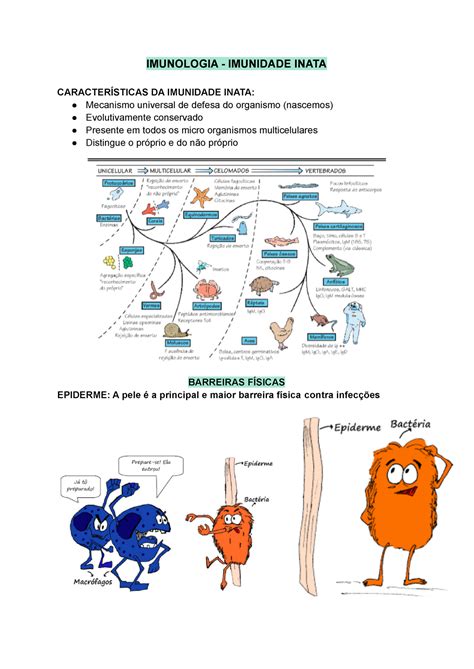 Imunologia Imunidade Inata RESUMO COMPLETO IMUNOLOGIA IMUNIDADE